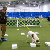 26-18-10-ScentWork-137