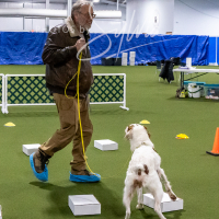 26-18-10-ScentWork-138