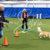 26-18-10-ScentWork-14