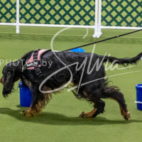 26-18-10-ScentWork-144