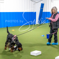 26-18-10-ScentWork-145
