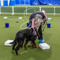 26-18-10-ScentWork-148