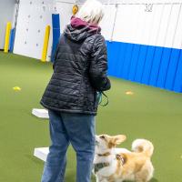 26-18-10-ScentWork-15