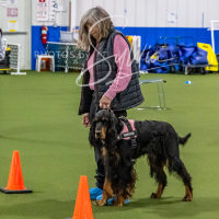 26-18-10-ScentWork-152