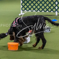 26-18-10-ScentWork-153