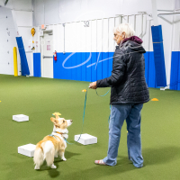 26-18-10-ScentWork-16