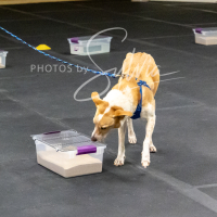 26-18-10-ScentWork-161