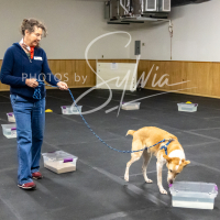 26-18-10-ScentWork-162