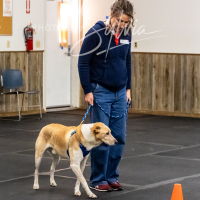 26-18-10-ScentWork-165