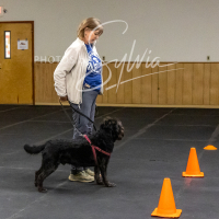 26-18-10-ScentWork-168