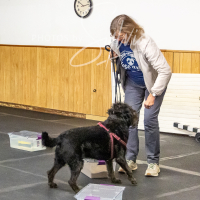 26-18-10-ScentWork-172