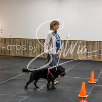 26-18-10-ScentWork-173