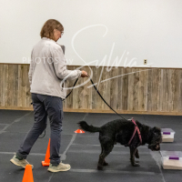 26-18-10-ScentWork-174