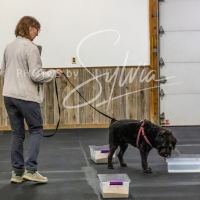 26-18-10-ScentWork-175