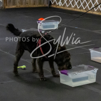 26-18-10-ScentWork-178