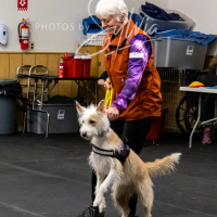 26-18-10-ScentWork-180