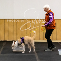 26-18-10-ScentWork-184
