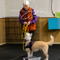 26-18-10-ScentWork-186