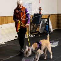 26-18-10-ScentWork-188