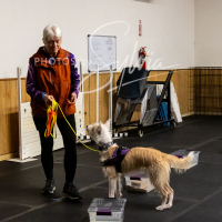 26-18-10-ScentWork-189