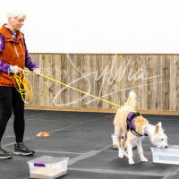 26-18-10-ScentWork-192