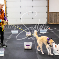 26-18-10-ScentWork-195