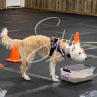 26-18-10-ScentWork-200