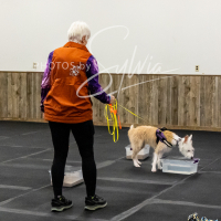 26-18-10-ScentWork-201