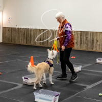 26-18-10-ScentWork-202