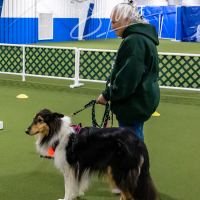 26-18-10-ScentWork-21