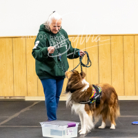 26-18-10-ScentWork-212