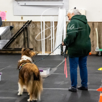 26-18-10-ScentWork-215
