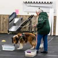 26-18-10-ScentWork-217