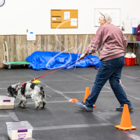 26-18-10-ScentWork-228