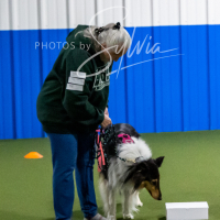 26-18-10-ScentWork-23