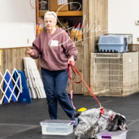 26-18-10-ScentWork-231