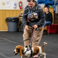 26-18-10-ScentWork-233