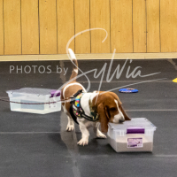 26-18-10-ScentWork-235