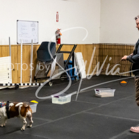 26-18-10-ScentWork-237