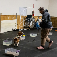 26-18-10-ScentWork-239