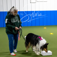 26-18-10-ScentWork-24