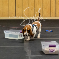 26-18-10-ScentWork-240