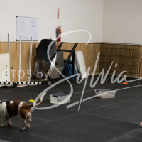 26-18-10-ScentWork-242