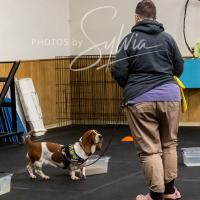 26-18-10-ScentWork-243