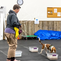 26-18-10-ScentWork-247
