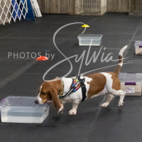 26-18-10-ScentWork-249
