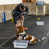 26-18-10-ScentWork-250