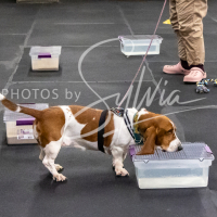 26-18-10-ScentWork-254