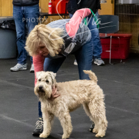 26-18-10-ScentWork-256