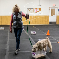 26-18-10-ScentWork-258